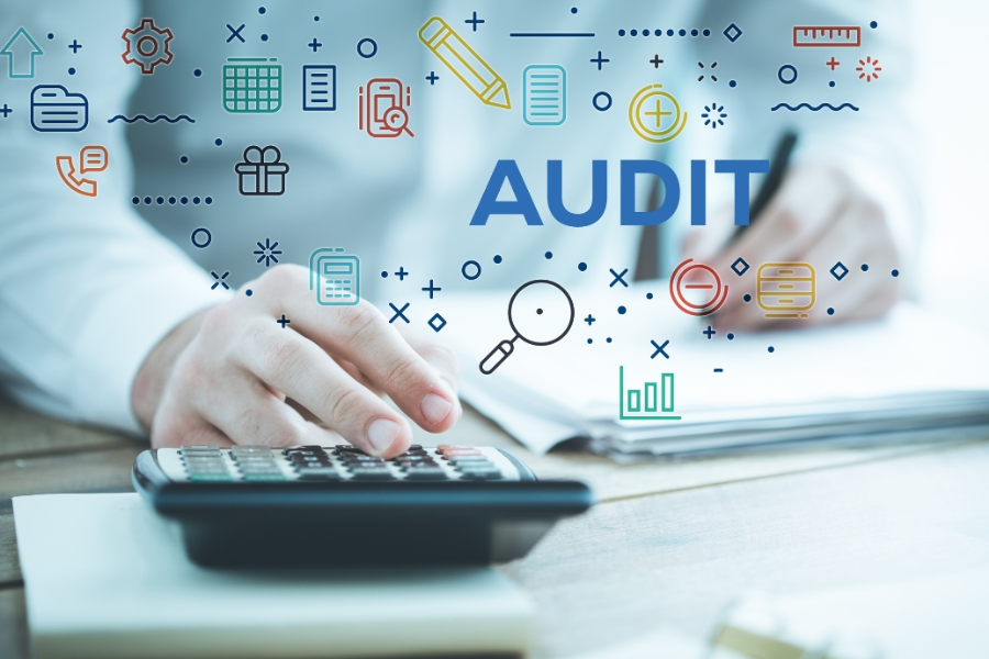 Medical Auditing